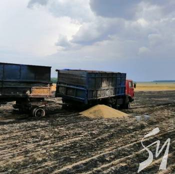 �� ����������� �� ��� ������� 10 �� ���� (����) 